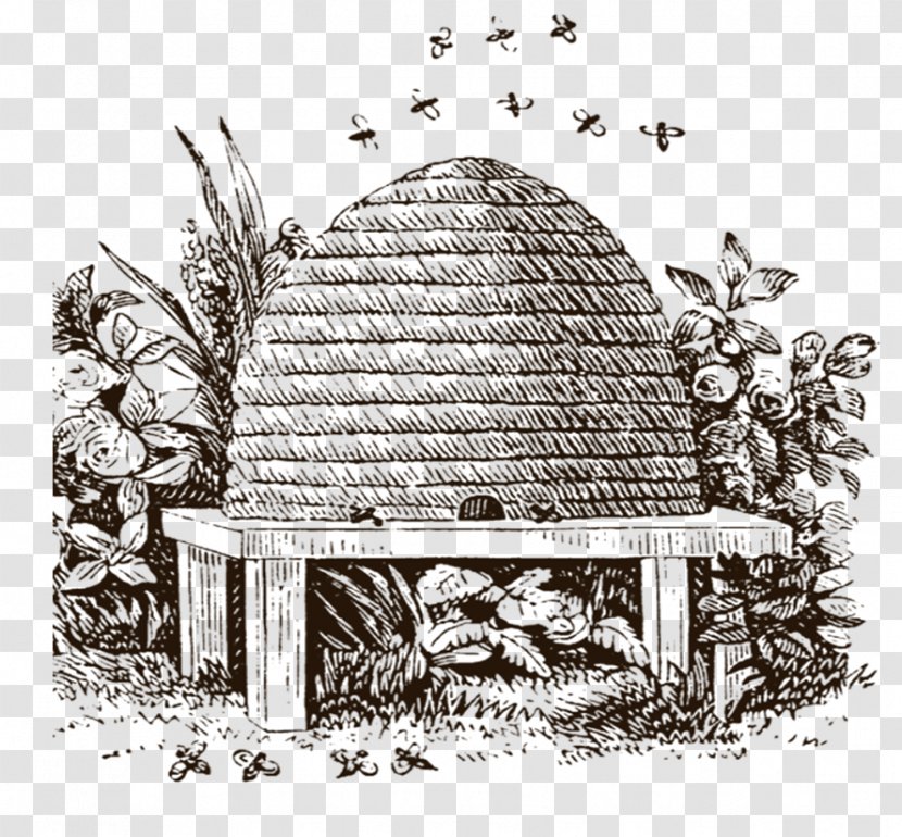 Freemasonry Beehive Masonic Ritual And Symbolism Lodge - Rite - Hive Transparent PNG