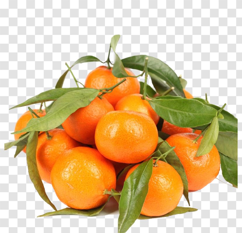 Tangerine Lemon Chenpi Ugli Fruit Orange - Sand Candy Picture Transparent PNG