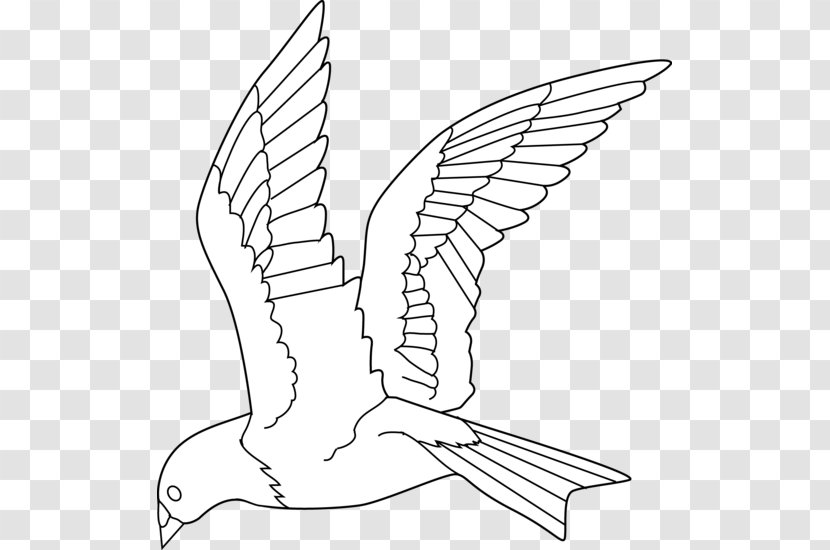Bird Line Art Drawing Clip - Color Pigeon Transparent PNG