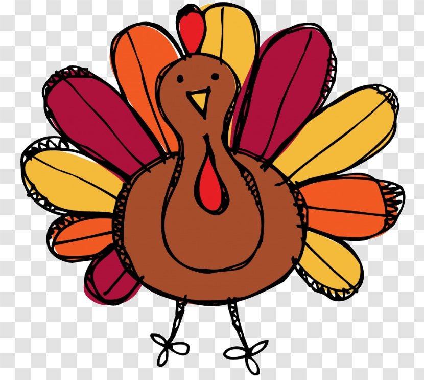Turkey Thanksgiving Cartoon - Blog - Wing Bird Transparent PNG