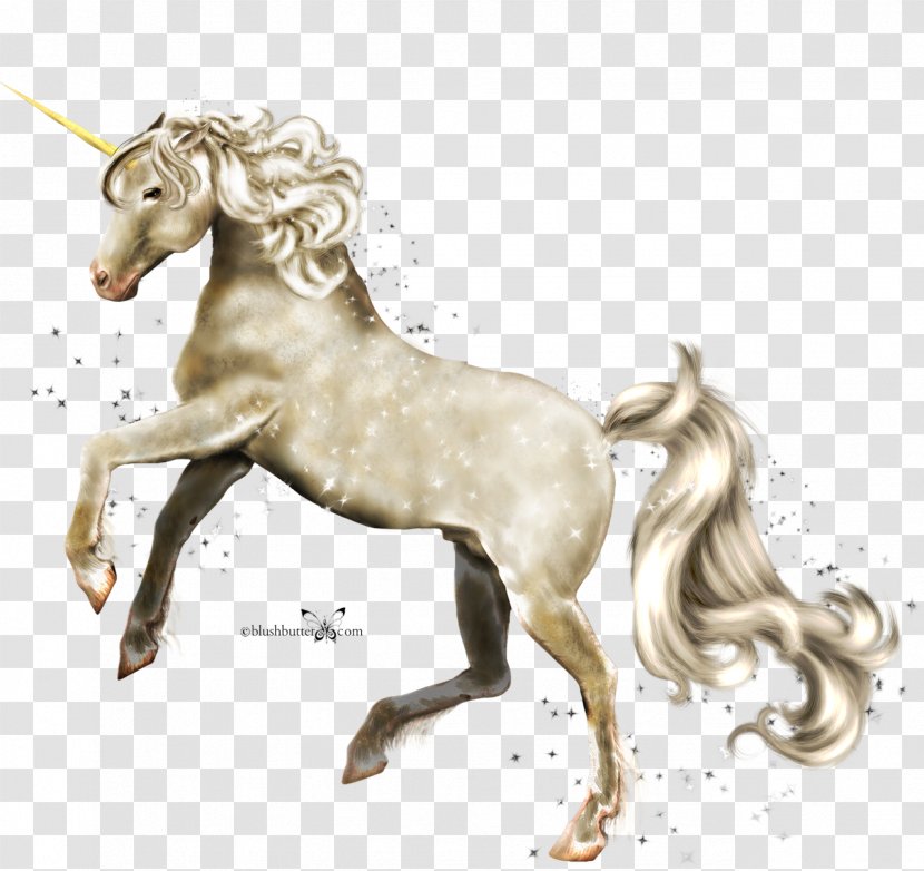 Unicorn Drawing - Mustang Horse Transparent PNG