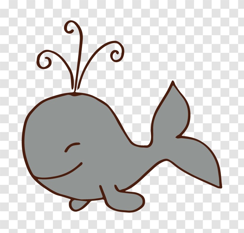Cetacea Drawing Clip Art - Beak - Meer Clipart Transparent PNG