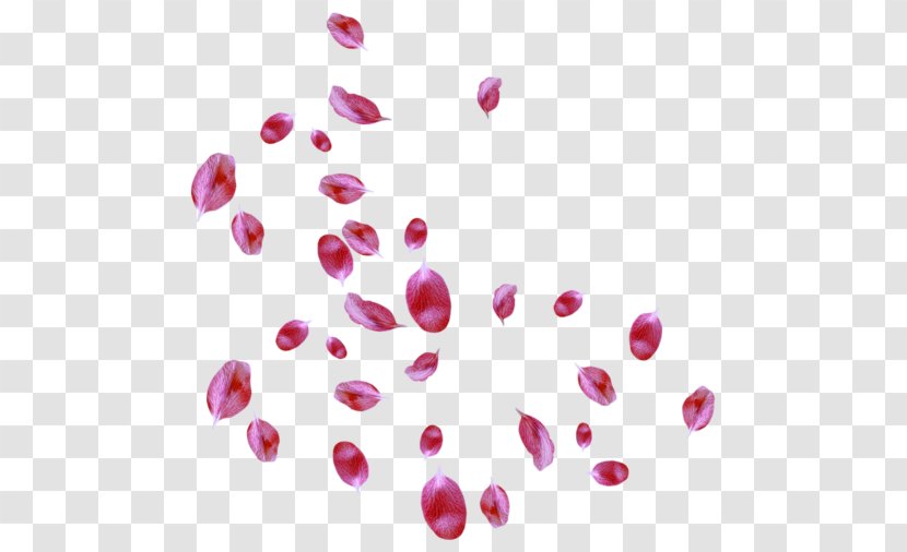 Petal Bit - Color Transparent PNG