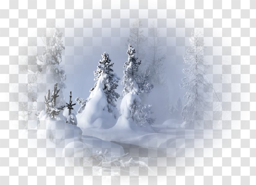 Desktop Wallpaper Theme Landscape - Freezing - Snow Transparent PNG