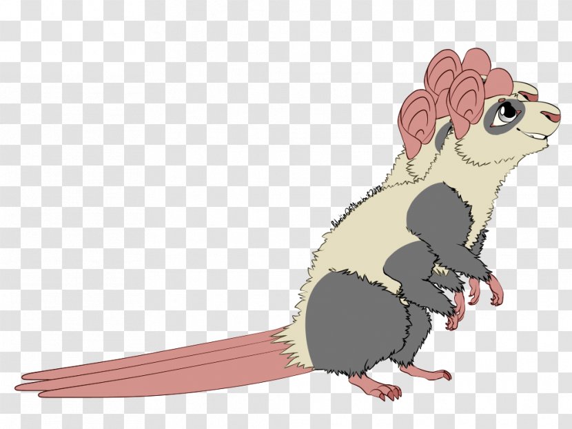 Mouse Rat Rodent Muroidea Animal - Beak - & Transparent PNG