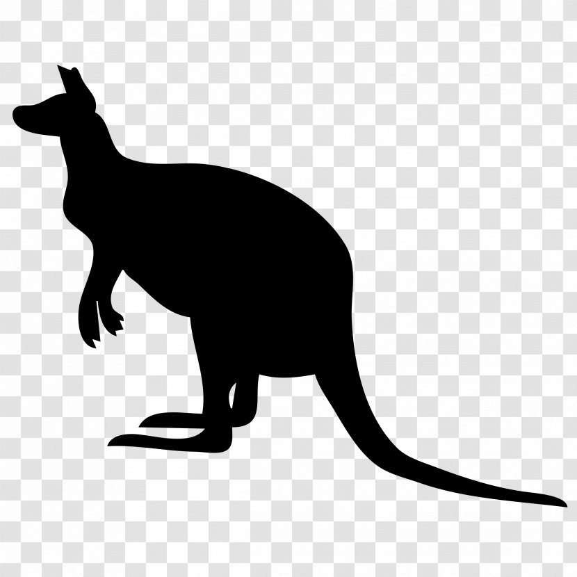 Kangaroo Wallaby Reserve Clip Art - Wildlife Transparent PNG