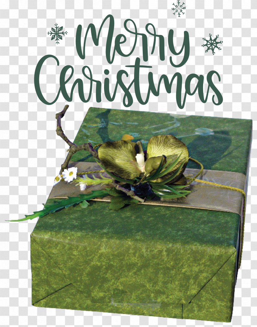 Merry Christmas Christmas Day Xmas Transparent PNG