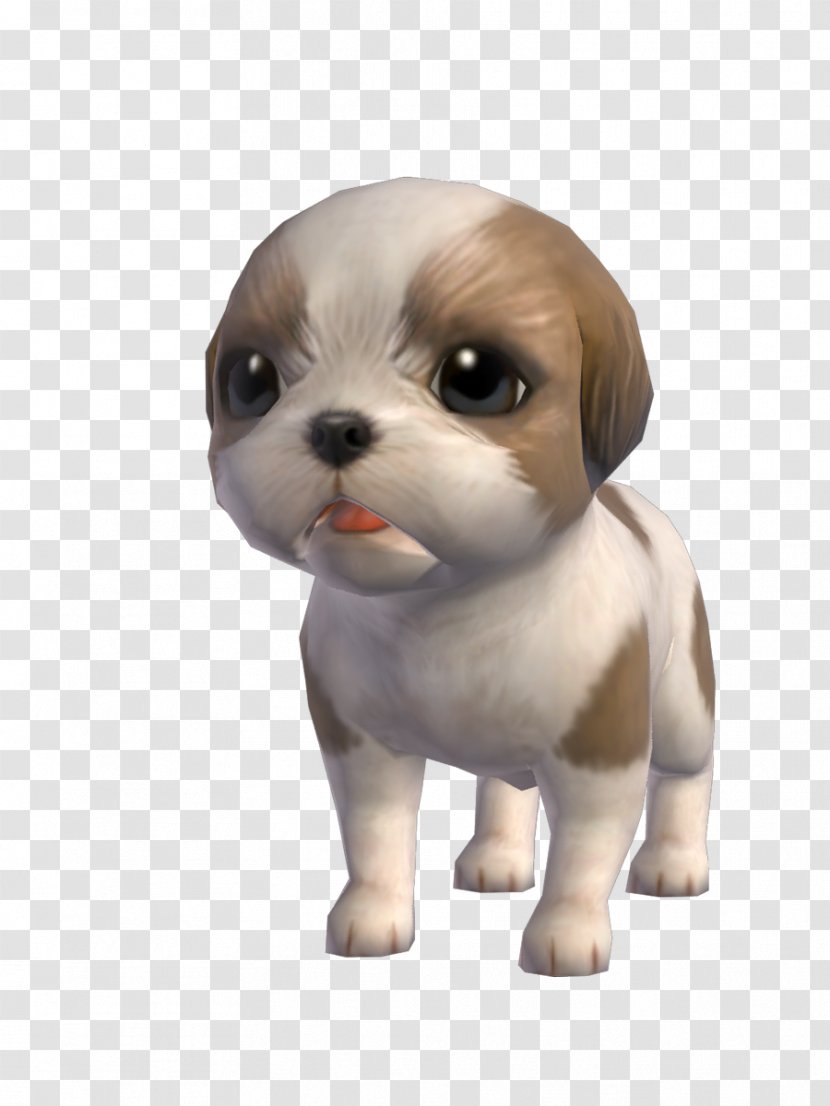 Shih Tzu Puppy Dog Breed Companion Toy - Animation Transparent PNG