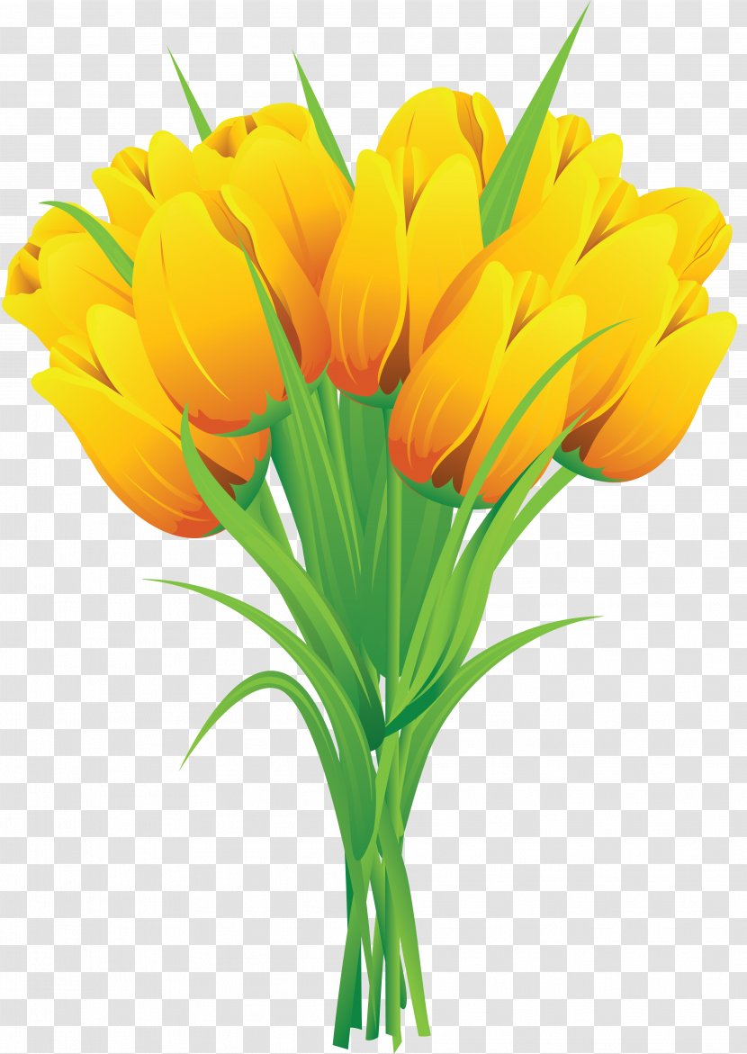 Tulip Flower Bouquet Yellow Clip Art Transparent PNG
