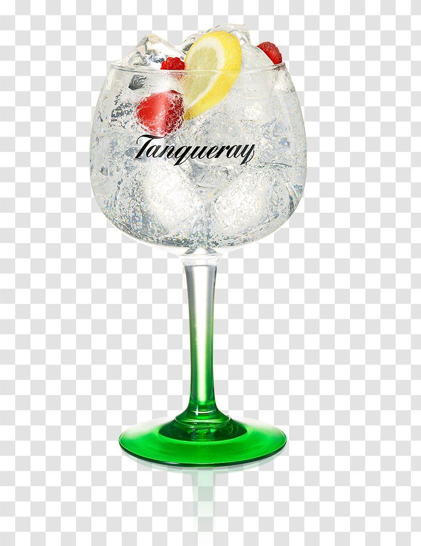 Tanqueray Gin And Tonic Water Grapefruit Juice - Vodka - Lemon Cocktail Transparent PNG