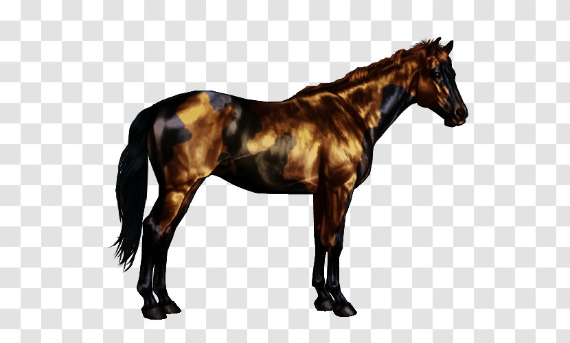 Oldenburg Horse American Paint Roan Bay Black - Pack Animal - Chimera Transparent PNG