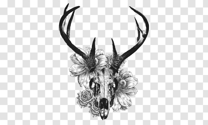 White-tailed Deer Tattoo Skull Antler - Eventoed Ungulate - Creative Black And White Transparent PNG
