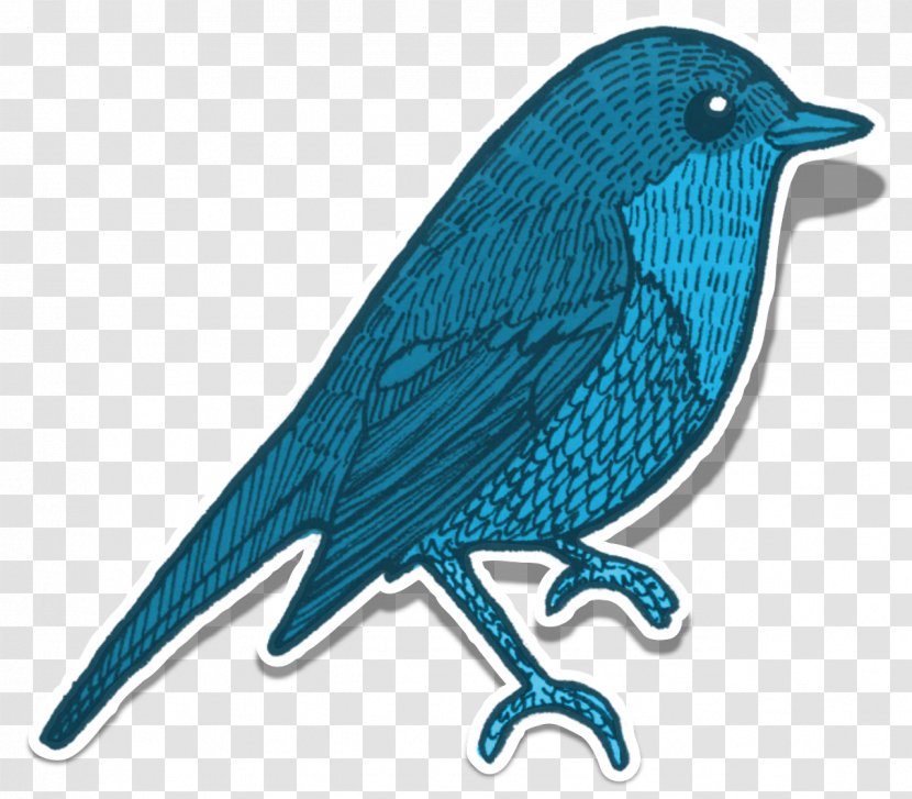 Bird Image Illustration Clip Art Animal - Bluebird Transparent PNG