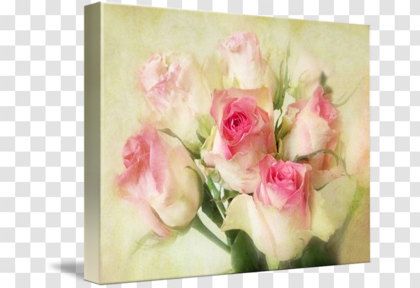 Garden Roses Cabbage Rose Pink Floral Design - Lavender - Victorian Transparent PNG
