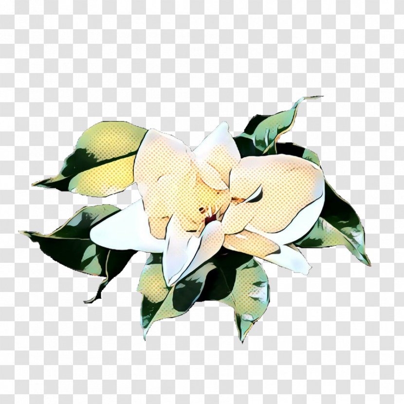 Floral Flower Background - Plant - Artificial Rose Order Transparent PNG