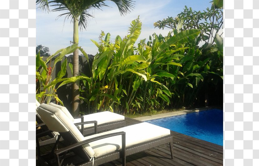 Arecaceae Property Resort Vacation Estate - Landscaping - Indonesia Bali Transparent PNG