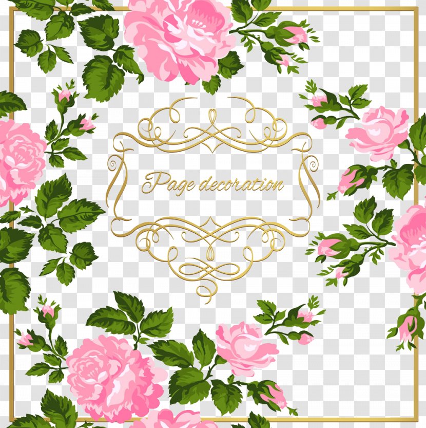 Calligraphy Ornament Clip Art - Garden Roses - Pink Flowers Transparent PNG