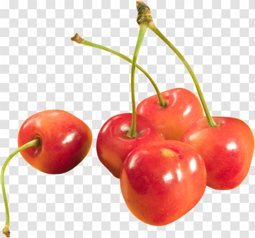 Sweet Cherry - Fruit - Cherries Image Transparent PNG