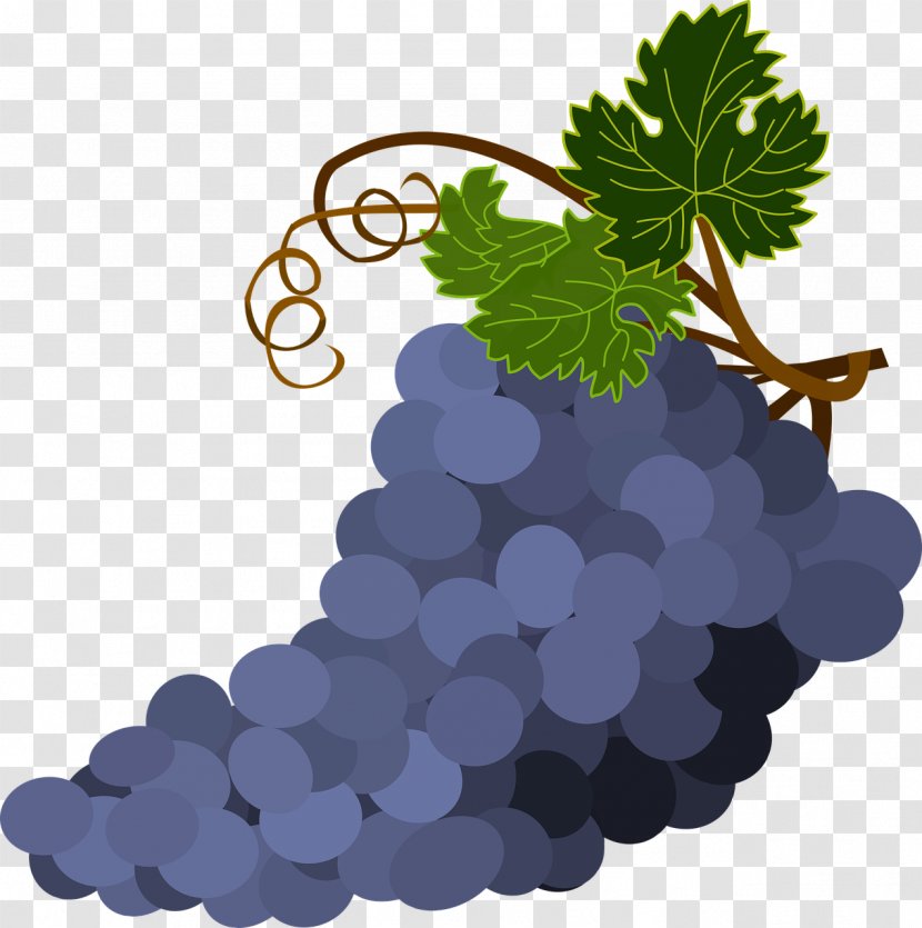 Wine Common Grape Vine Leaves - Grapevines - Bunch Of Purple Grapes Transparent PNG