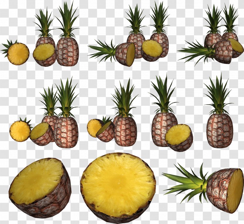 Image File Formats Lossless Compression Raster Graphics - Pineapple - Download Transparent PNG