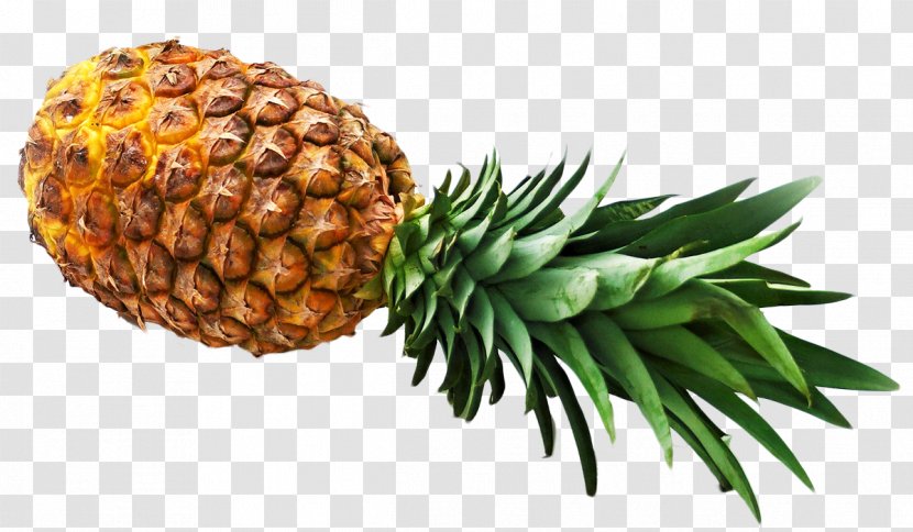 Upside-down Cake Pineapple - Plant Transparent PNG