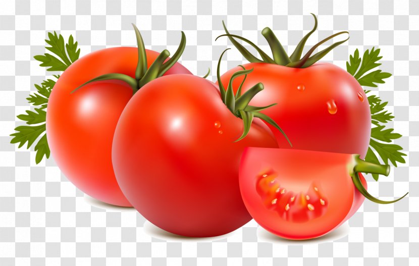 Roma Tomato Food Beefsteak Clip Art - Vegetable Transparent PNG