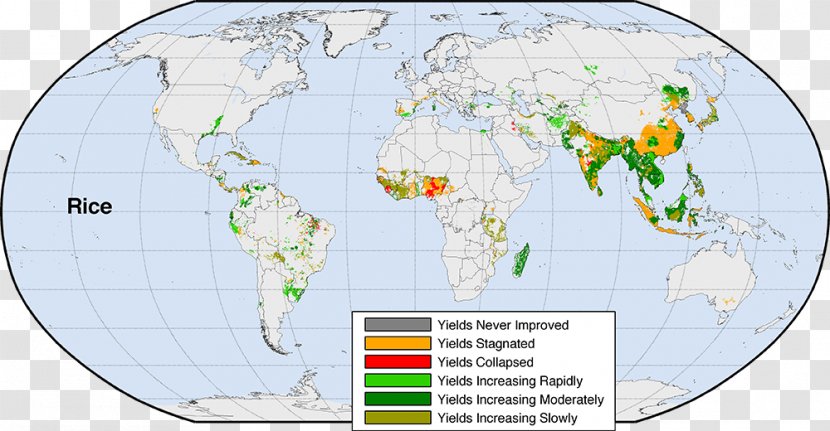 World Map Anthropogenic Biome - Organism - Indonesia Transparent PNG