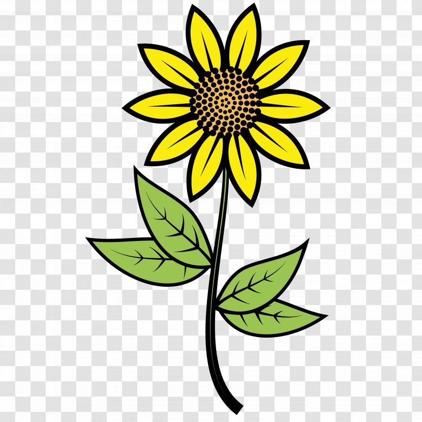 Common Sunflower Euclidean Vector Clip Art - Daisy Family - Creative Arts Painting Transparent PNG