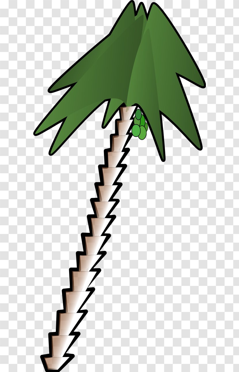 Arecaceae Cartoon Clip Art - Leaf - Palmtree Transparent PNG
