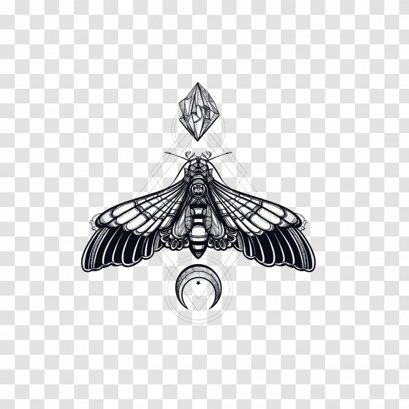 Butterfly Tattoo Art & Design Hawk Moths African Death's Head Hawkmoth Insect Transparent PNG