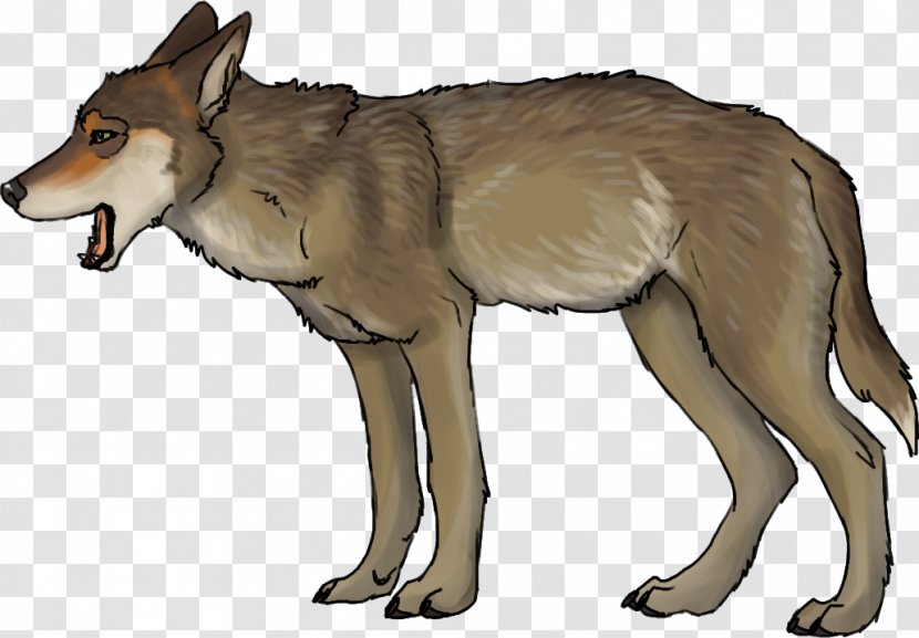 Saarloos Wolfdog Czechoslovakian Coyote Red Wolf - Mammal - Terrestrial Animal Transparent PNG