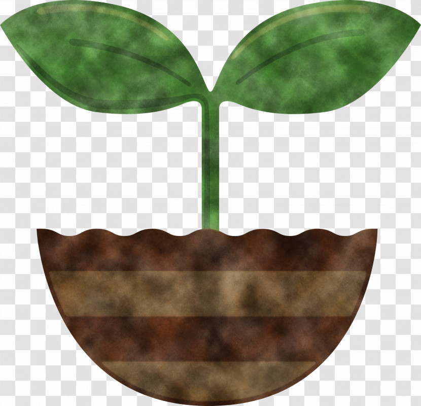 Sprout Bud Seed Transparent PNG