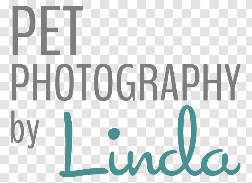 Ilmington Logo Brand Product Design - Photography - Smile Transparent PNG