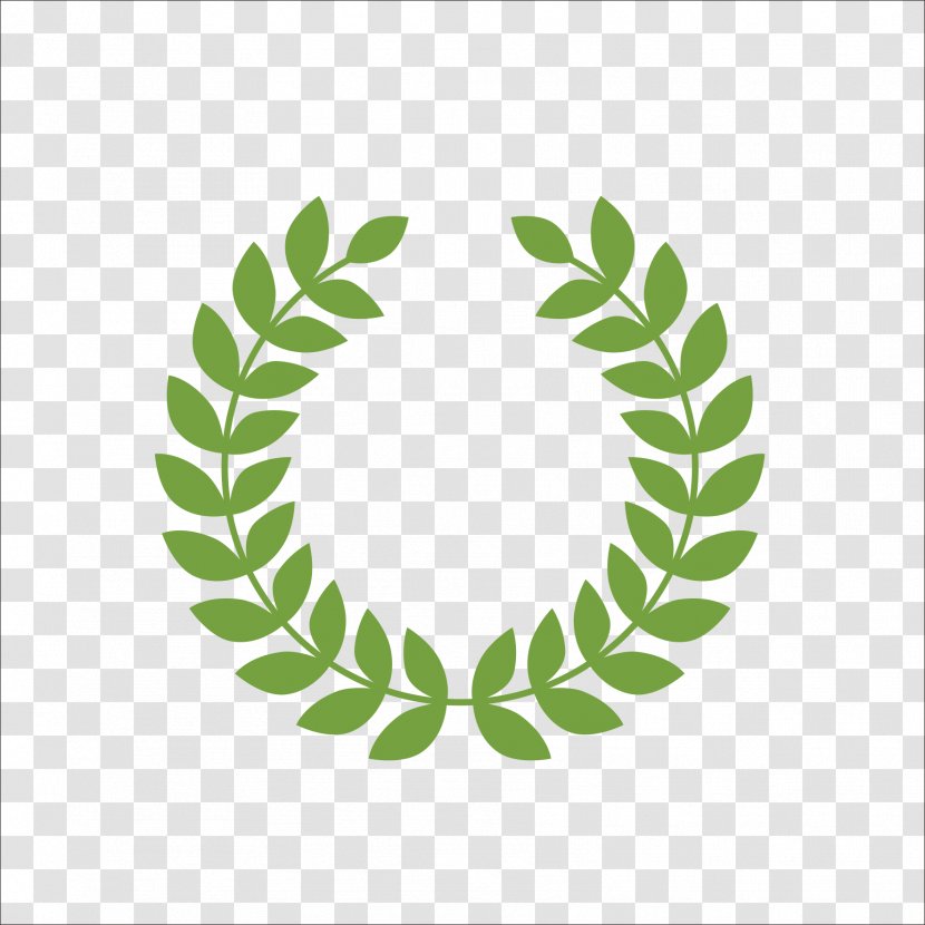 T-shirt Laurel Wreath - Symbol - Olive Branch Transparent PNG