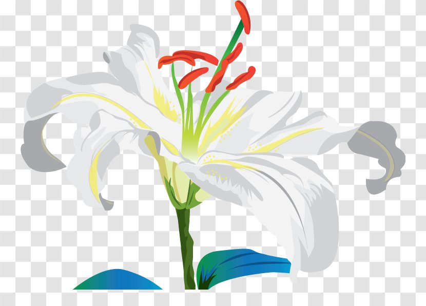 Jersey Lily Cut Flowers Belladonna Plant Stem Clip Art - Seed - Smiling Sunflower Transparent PNG