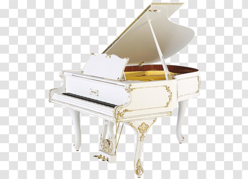 Grand Piano Petrof Steinway & Sons Musical Instruments - Tree Transparent PNG