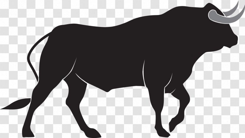 Charging Bull Europe Cattle Taurus - Vecteur Transparent PNG