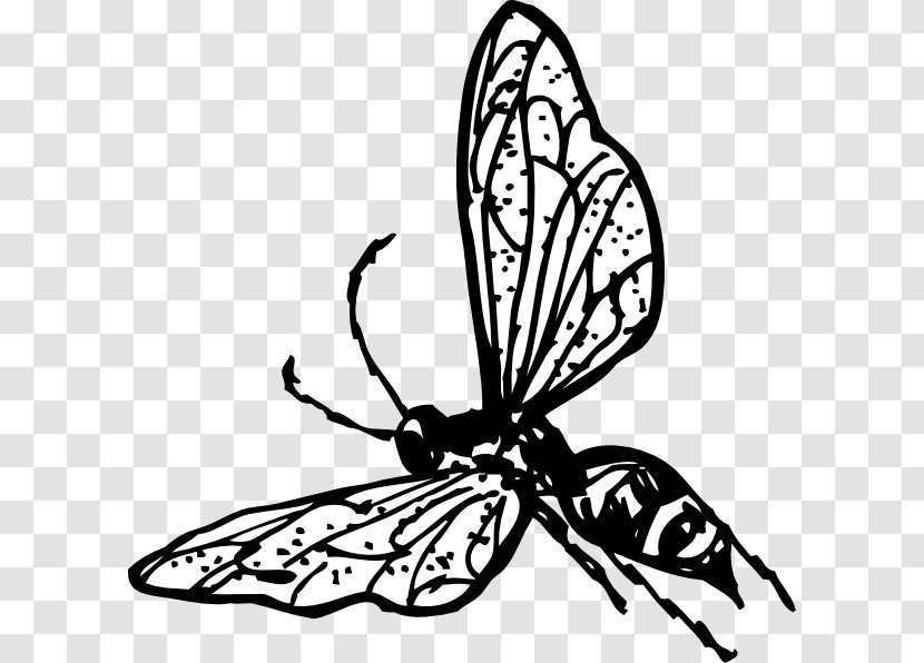 Hornet Bee Wasp Clip Art - Monarch Butterfly Transparent PNG
