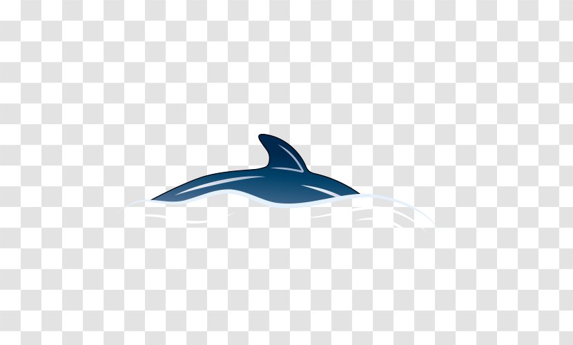 Dolphin Operating System Icon Transparent PNG