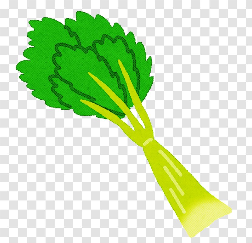 Green Vegetable Plant Leaf Transparent PNG