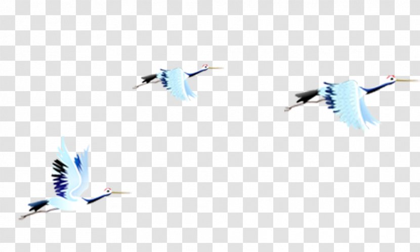 Bird Gulls Download Gongbi - Color - Crane Transparent PNG