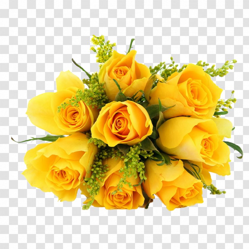 Rose Yellow Flower Desktop Wallpaper Transparent PNG