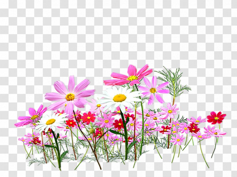 Cut Flowers Color Clip Art - Wildflower - Pink And Fresh Flower Garden Decoration Pattern Transparent PNG