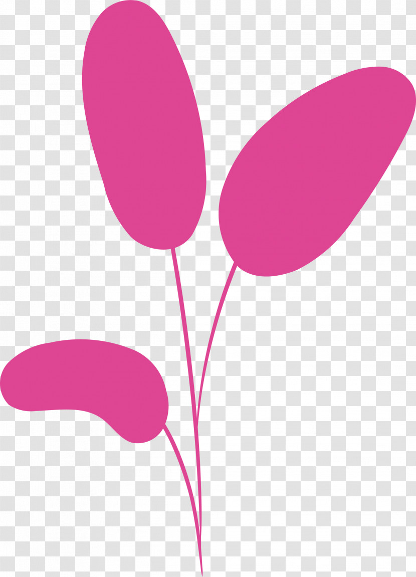 Pink M Line Flower Beauty.m Plants Transparent PNG