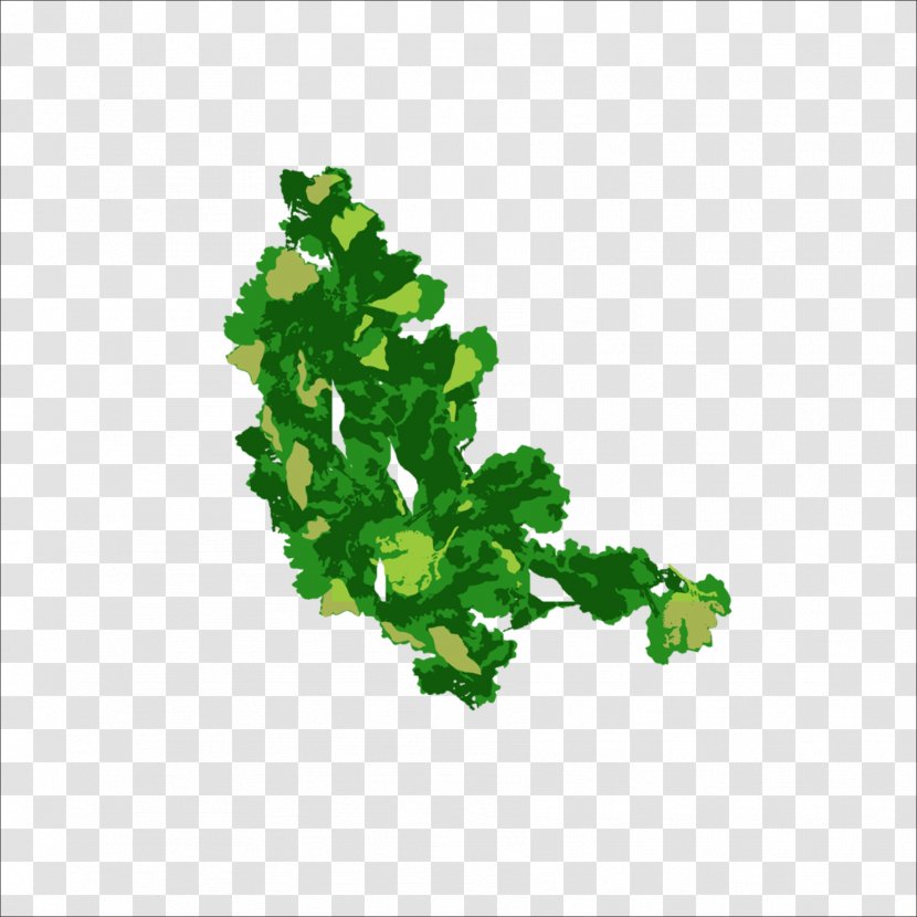 Leaf Green Condiment - Google Images Transparent PNG