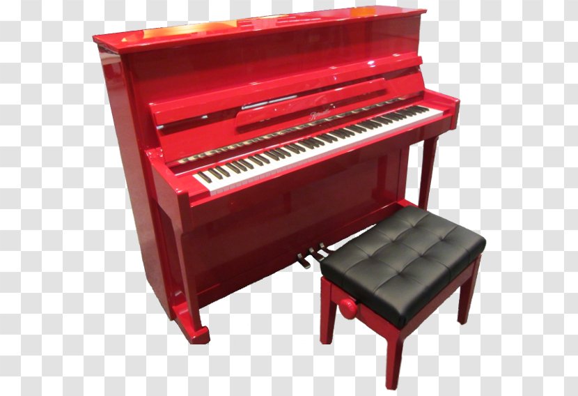 Digital Piano Nord Electro Electric Player Fortepiano Transparent PNG
