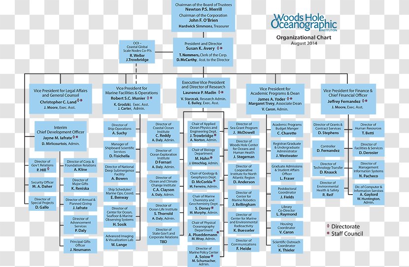 Non-profit Organisation Organizational Chart Structure - Human Resource - Business Transparent PNG