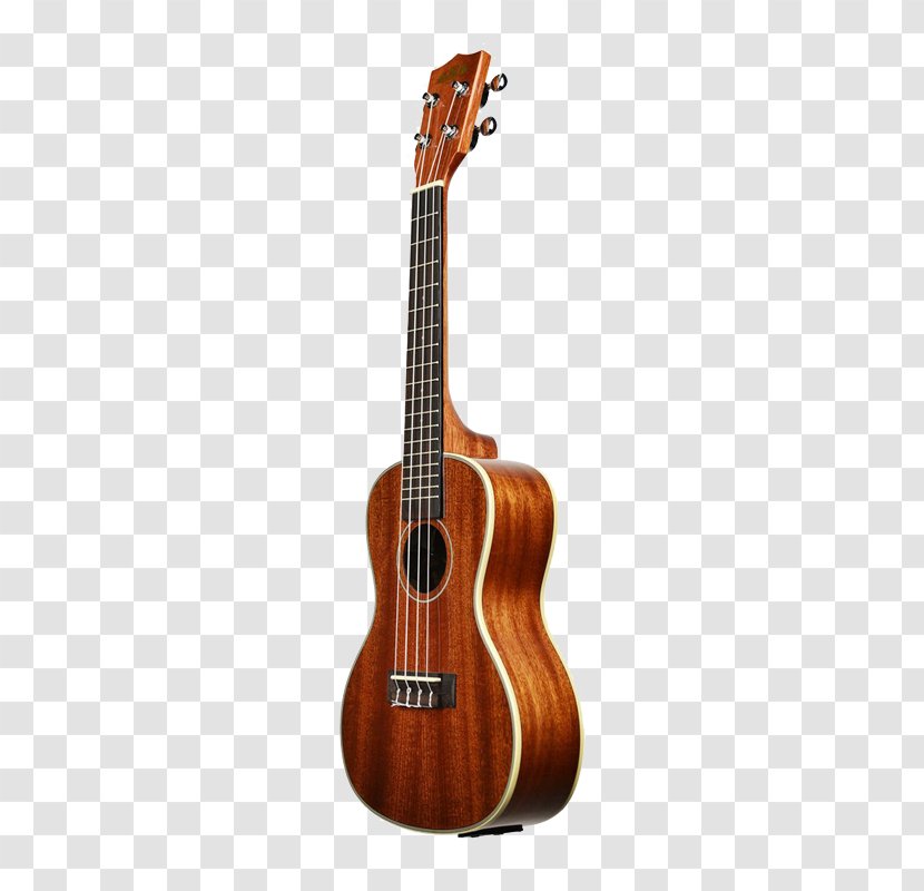 Bass Guitar Ukulele Acoustic Tiple Acoustic-electric - Tree Transparent PNG