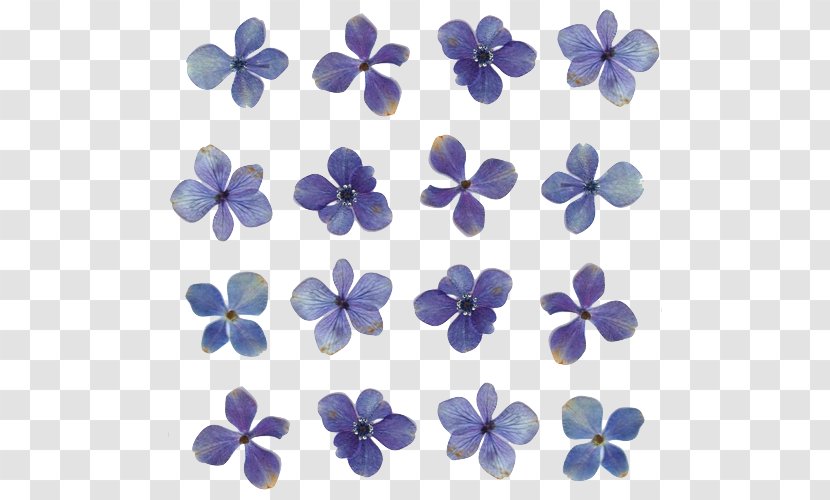 Pressed Flower Craft Light Floral Design - Green - Blue Flowers Transparent PNG