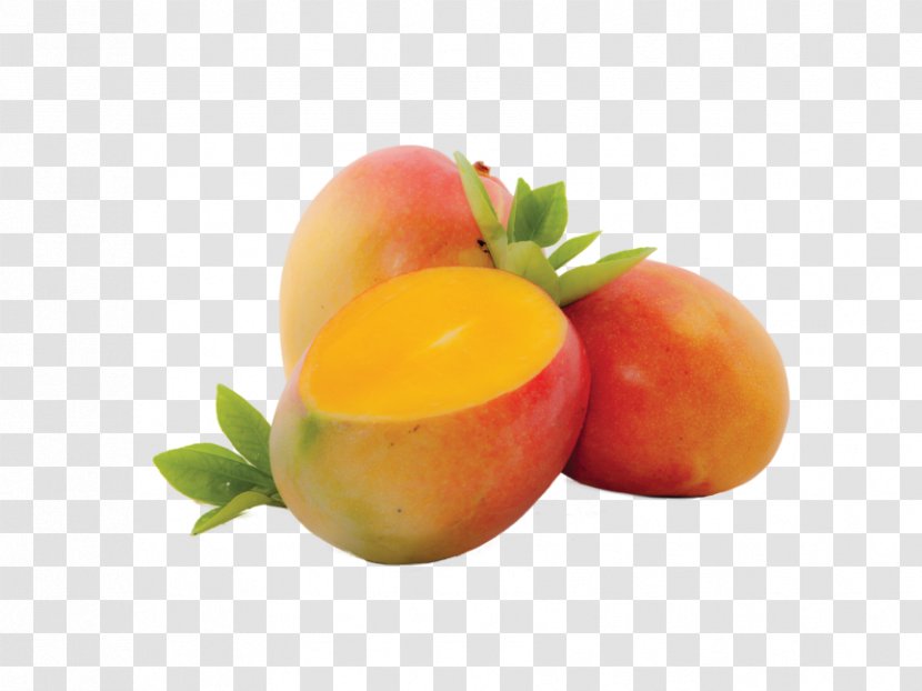 Juice International Mango Festival Pudding Smoothie Transparent PNG